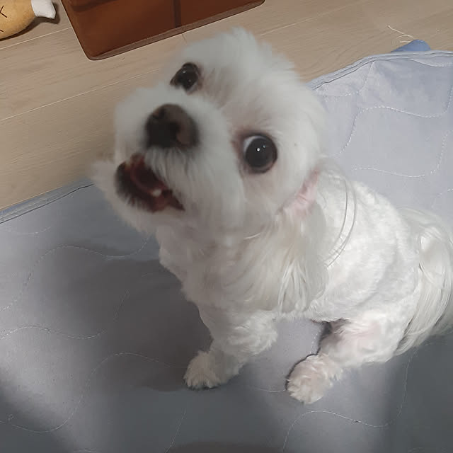 mangasukimanさんの実例写真