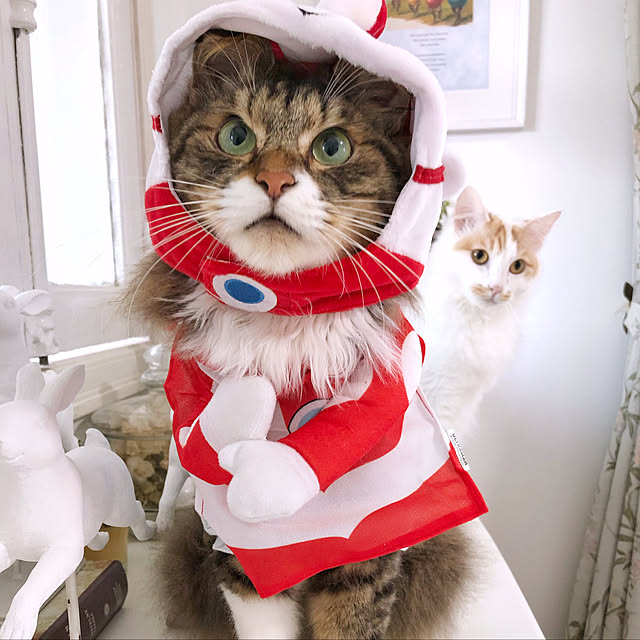 yuchiさんの実例写真