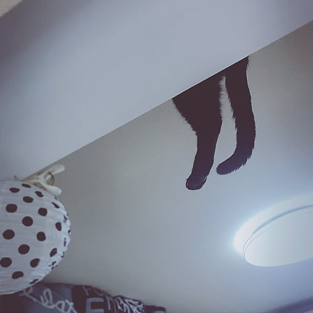 壁/天井のインテリア実例 - 2017-10-02 20:41:51