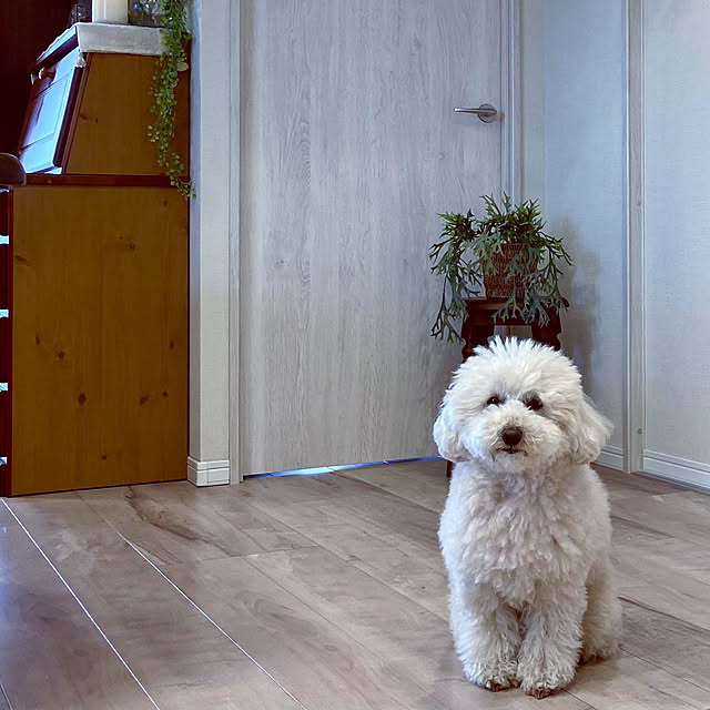 madamkaoriさんの部屋