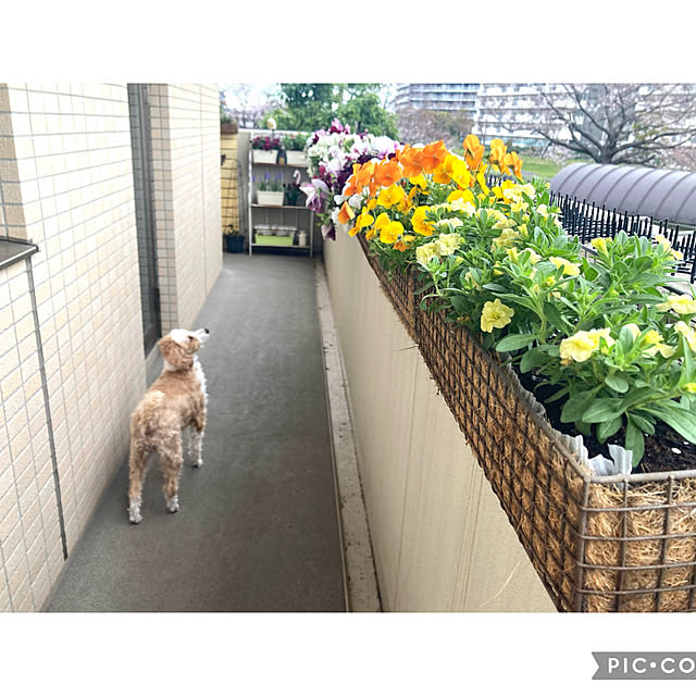 marukoさんの部屋