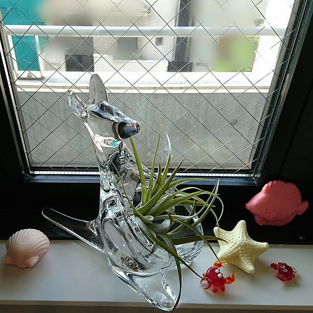 bonobono54さんの実例写真