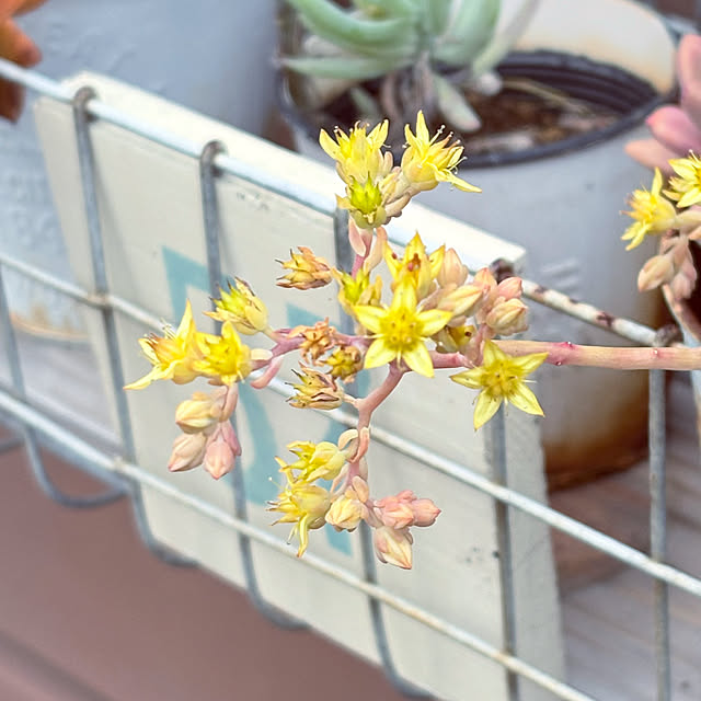 yukkoさんの部屋