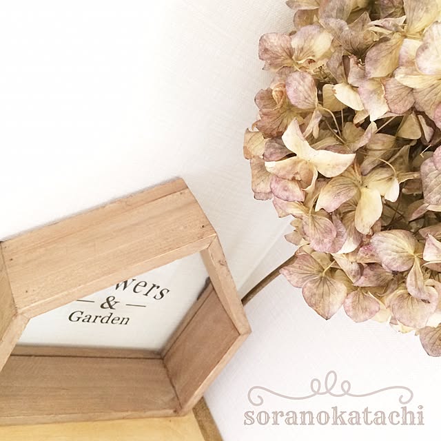 soranokatachiさんの実例写真