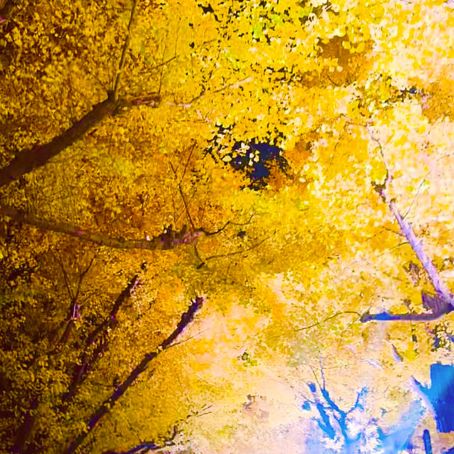 chacoさんの部屋