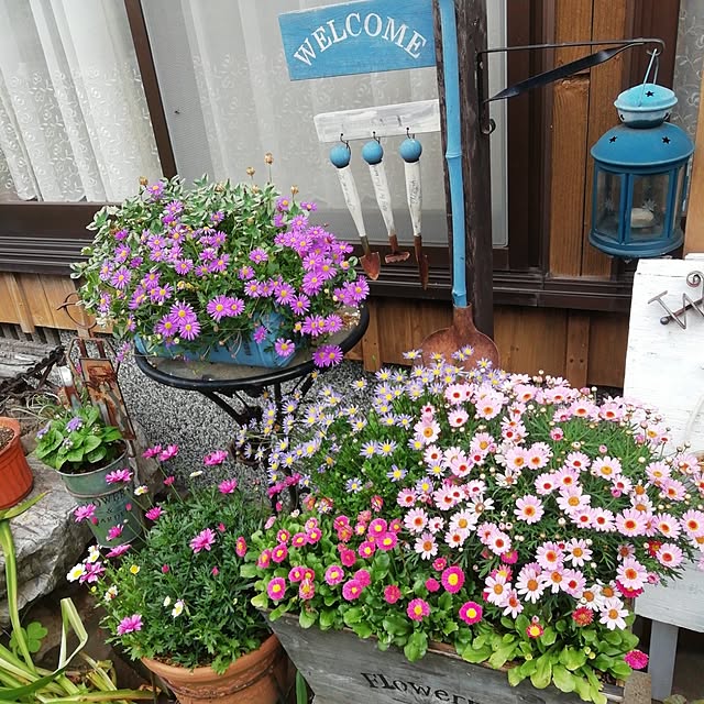 haruiroさんの実例写真