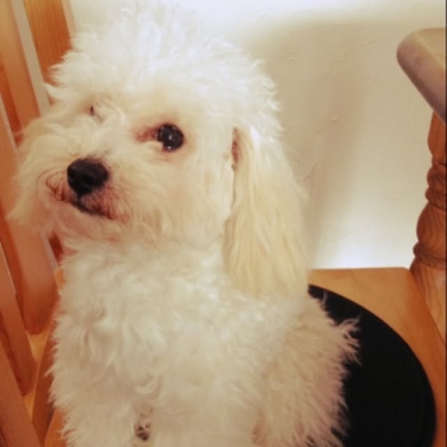 aki.さんの実例写真