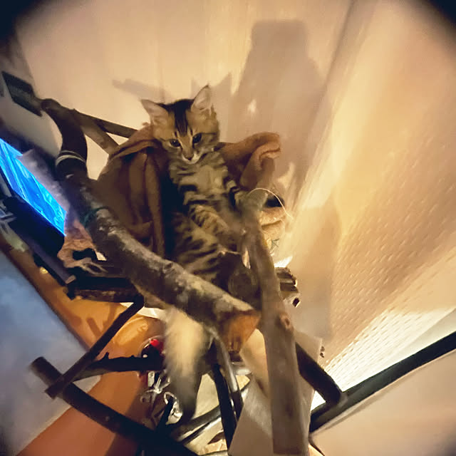 Mさんの部屋