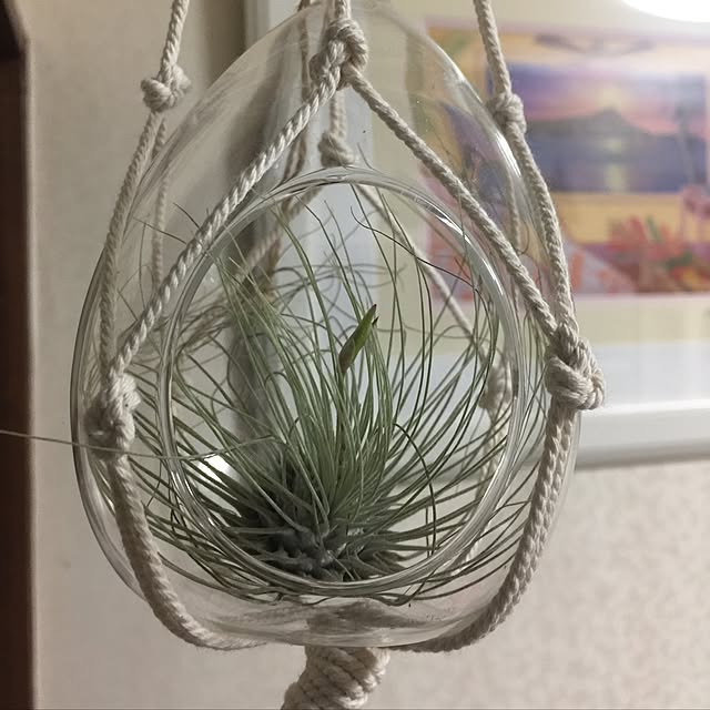 momonaさんの実例写真