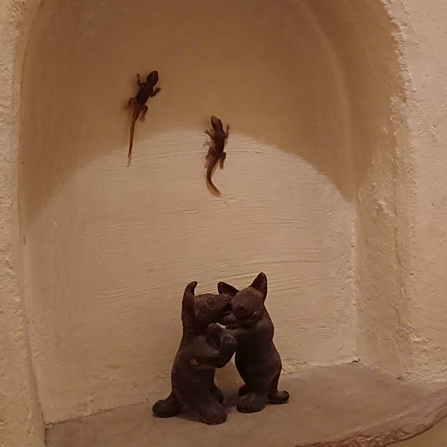 棚のインテリア実例 - 2019-06-15 19:09:12
