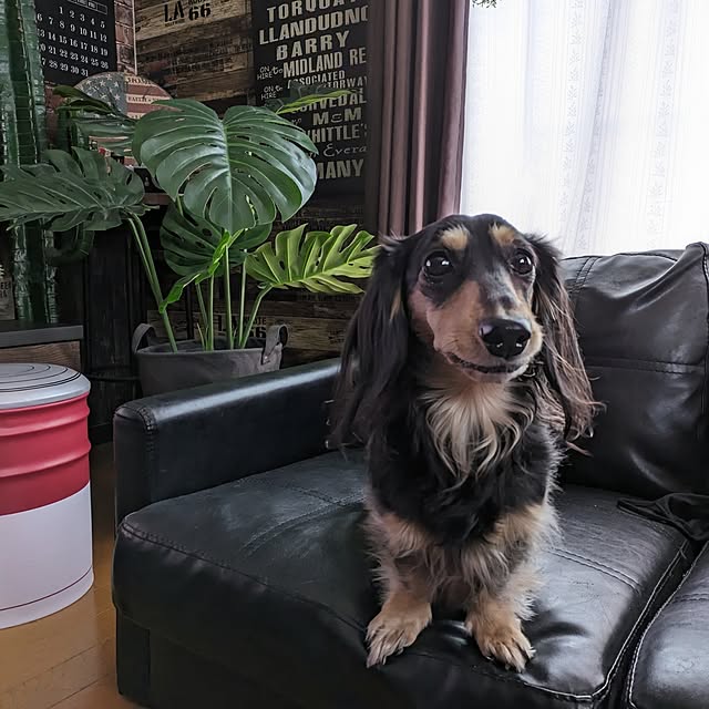 momozouさんの実例写真