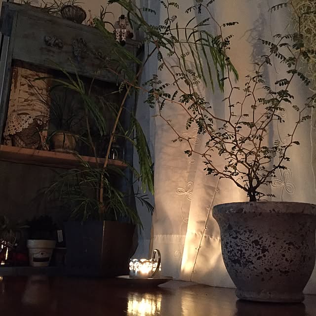 NORAさんの実例写真