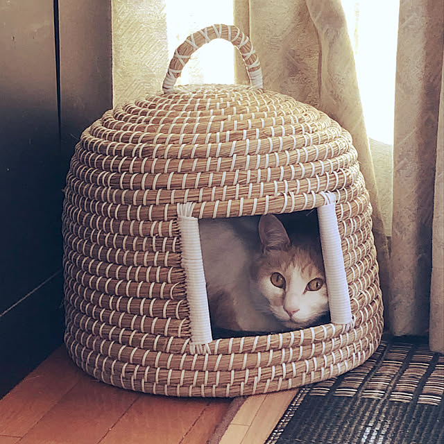 naworinさんの実例写真