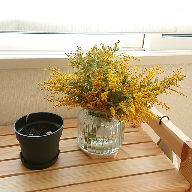 tomoさんの実例写真
