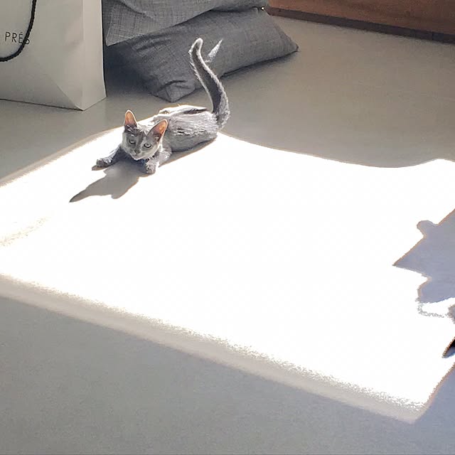 vさんの実例写真