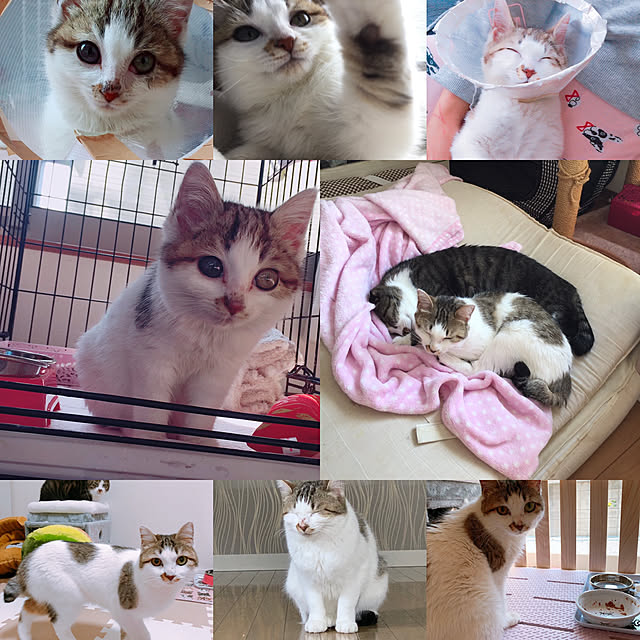 odekoさんの実例写真
