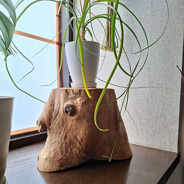 midoriさんの部屋