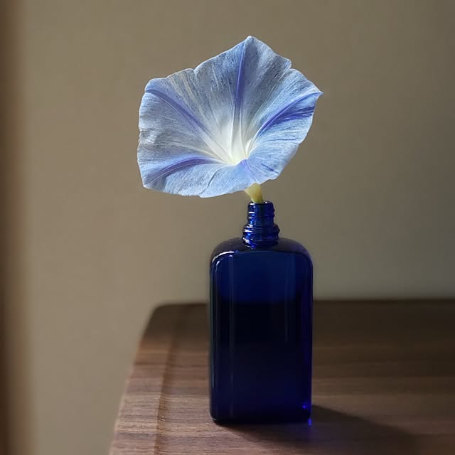 chidorinさんの実例写真