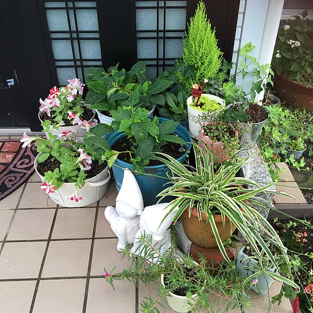fusaさんの実例写真