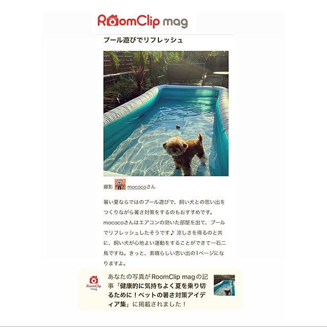 mococoさんの実例写真
