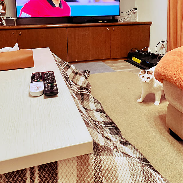 cat5さんの実例写真