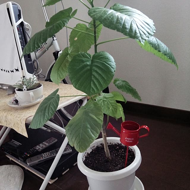 ERiさんの実例写真
