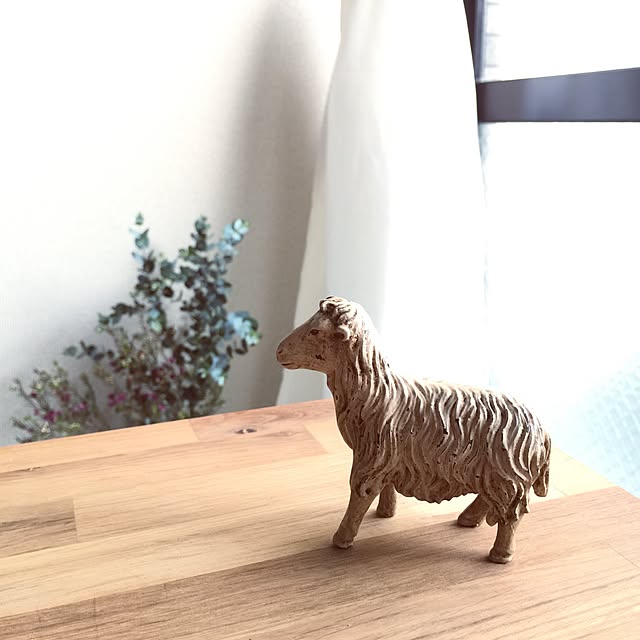 Misaさんの実例写真