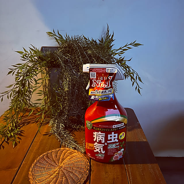 chacoさんの部屋