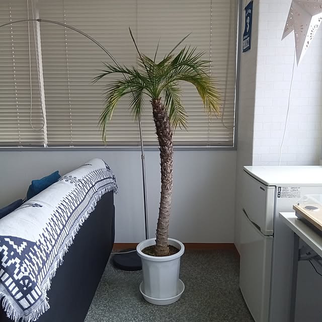 mikeさんの実例写真