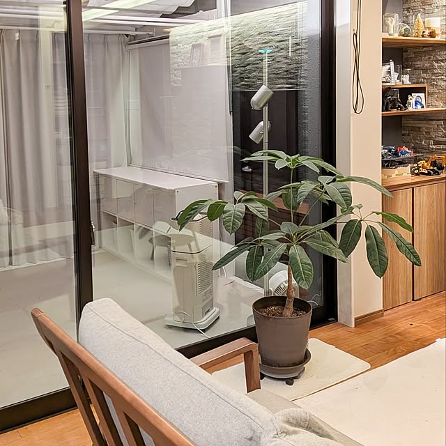 kico.kwdさんの部屋