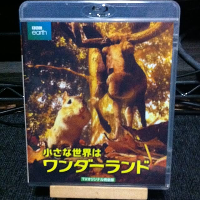 Shigeさんの実例写真