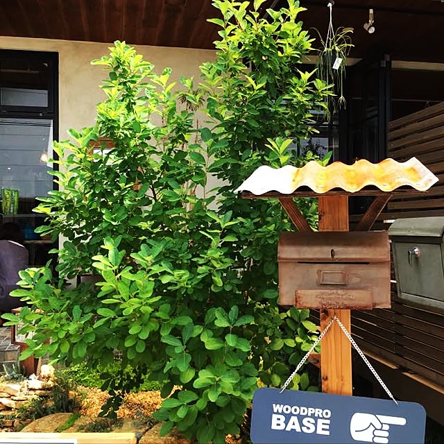 WOODPROさんの実例写真