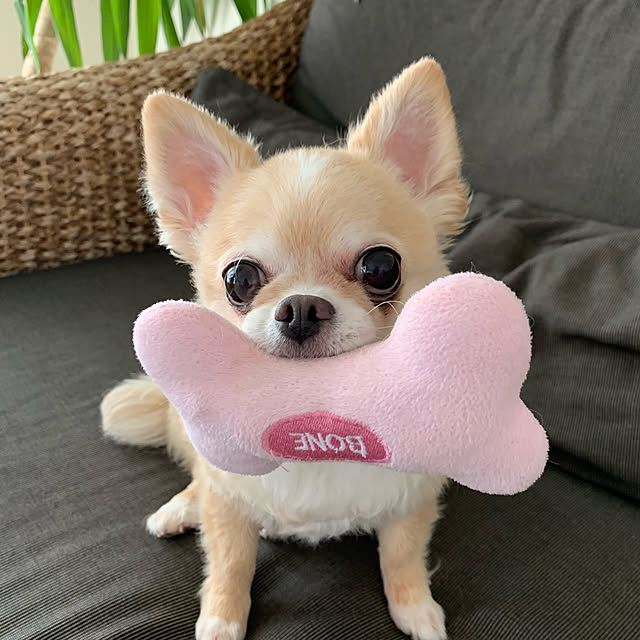 JUさんの実例写真