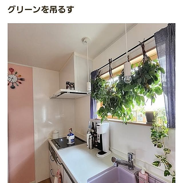 saさんの実例写真