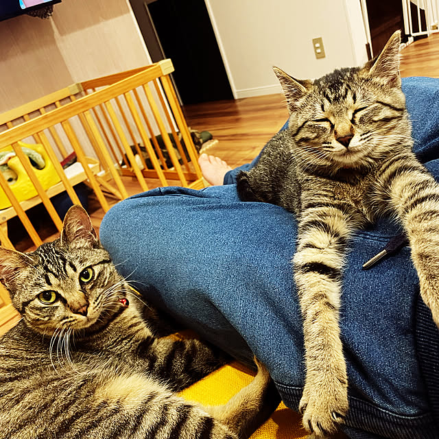 kyoさんの実例写真