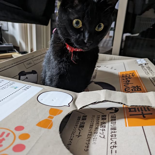 ciiiさんの部屋