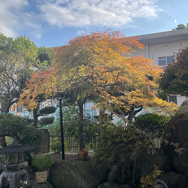 shin0719さんの実例写真