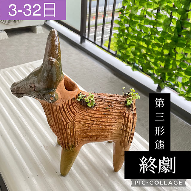 aureaさんの実例写真
