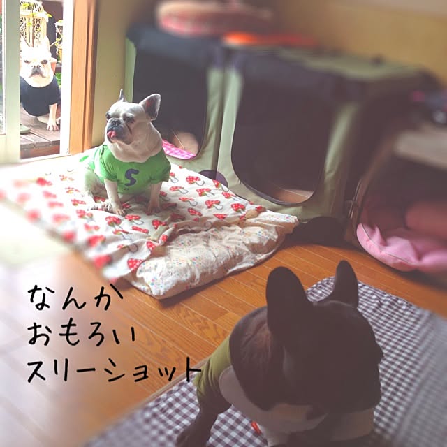 38coreさんの実例写真