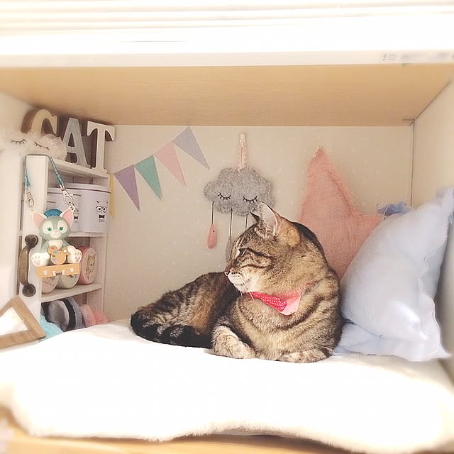 lovecatさんの実例写真