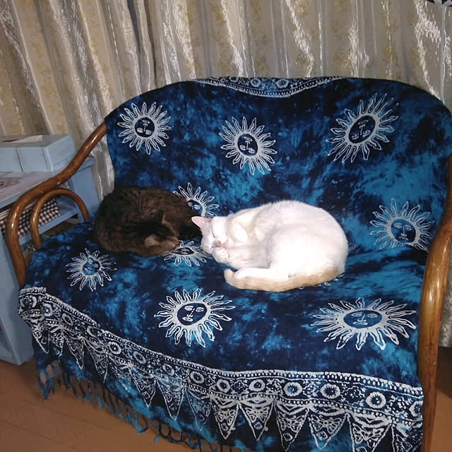 posauruさんの実例写真