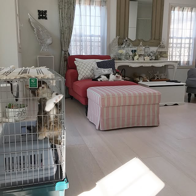 yuchiさんの実例写真