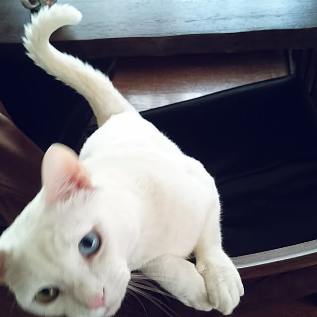 uuu22uさんの実例写真