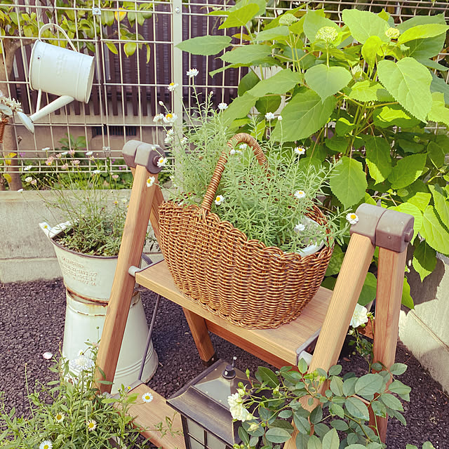 sariさんの部屋