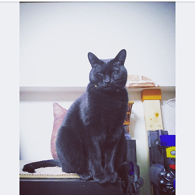 mntcさんの実例写真