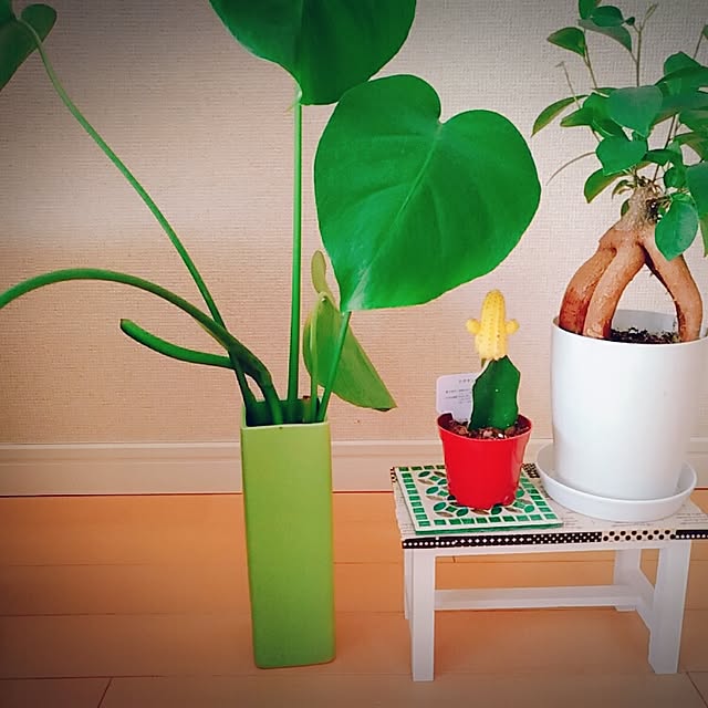 実例写真