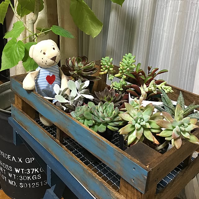 onokenkoさんの実例写真