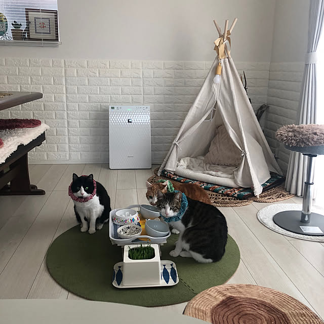 mikenekoさんの実例写真