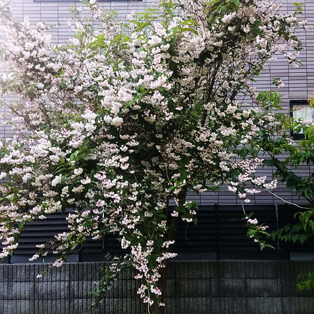 ocoさんの実例写真