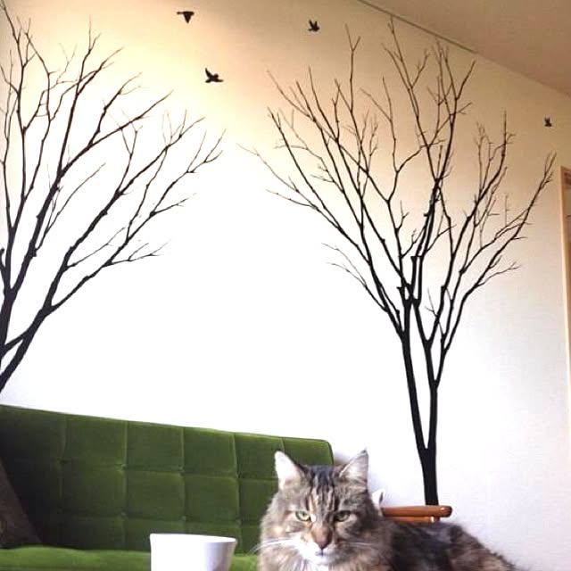 kkotnさんの実例写真